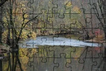 Woods in Autumn jigsaw puzzle