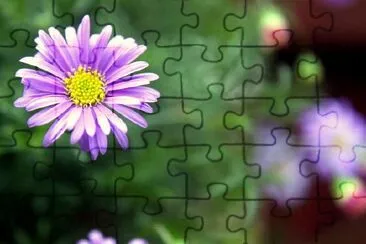 Daisy jigsaw puzzle