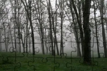 Morning Fog jigsaw puzzle