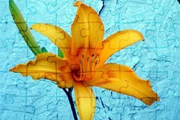 Yellow Lily jigsaw puzzle