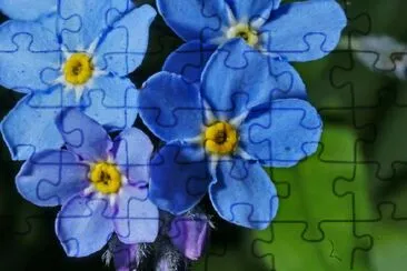 Blue Petals jigsaw puzzle