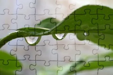 Raindrop jigsaw puzzle