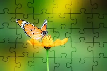 Butterfly jigsaw puzzle