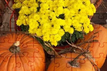 Pumpkins jigsaw puzzle