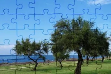 Olive trees, Sicily, Italy jigsaw puzzle