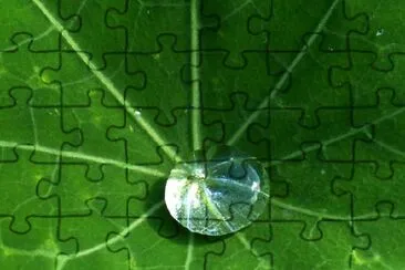 Droplet jigsaw puzzle