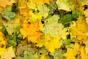 Autumn Leaves jigsaw puzzle