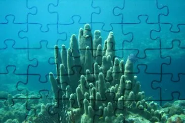 Underwater jigsaw puzzle