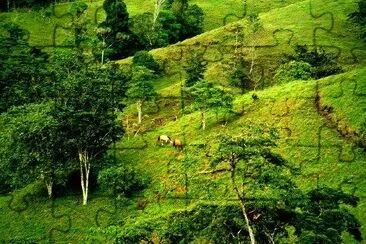 Paisaje, costa rica