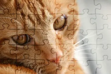 Ginger Cat jigsaw puzzle