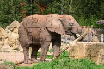 Elephant jigsaw puzzle