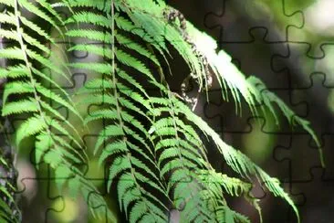 Foliage jigsaw puzzle