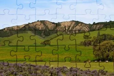 Hills and Horses jigsaw puzzle