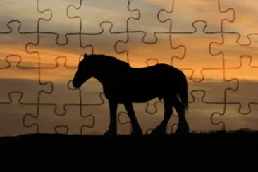 A Horse and a Sunset jigsaw puzzle