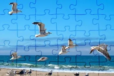 Seagulls flying over a beach jigsaw puzzle