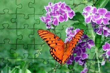 Duranata and a butterfly jigsaw puzzle