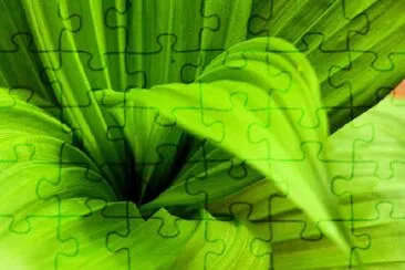 A Green Plant jigsaw puzzle