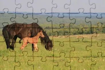 Horses in the countryside jigsaw puzzle