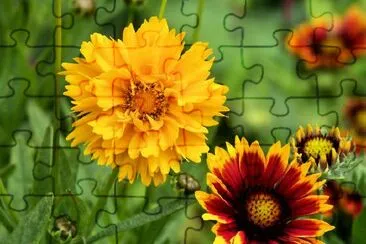 Flowers jigsaw puzzle