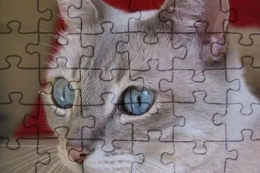 A Blue Eyed Cat jigsaw puzzle