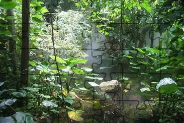 Tropical Forest jigsaw puzzle