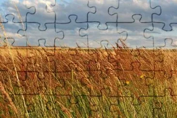 Countryside Landscape jigsaw puzzle