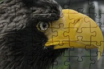 Black Eagle jigsaw puzzle