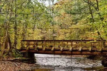 Un ponte su un ruscello