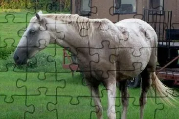 White Horse jigsaw puzzle