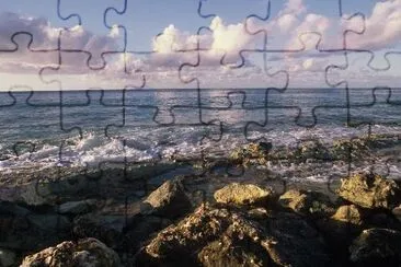 The ocean jigsaw puzzle