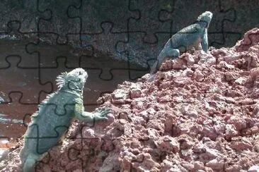 Two Iguanas jigsaw puzzle