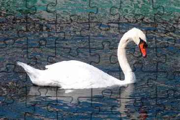 White Swan jigsaw puzzle