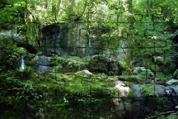 Cascade dans la forêt