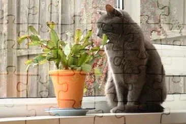 A Cat and a plant jigsaw puzzle