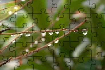 Waterdrops jigsaw puzzle