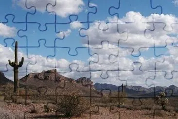 Desert scene jigsaw puzzle