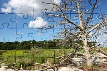 Forest landscape jigsaw puzzle