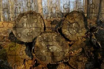 Firewood jigsaw puzzle