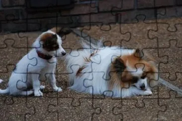 Two Dogs jigsaw puzzle