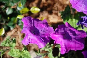 Purple Flowers jigsaw puzzle