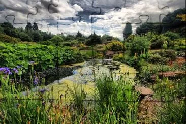 Un giardino botanico