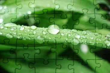 Spring Rain jigsaw puzzle