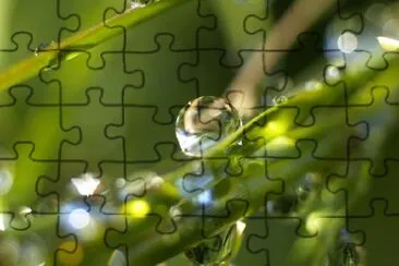 Water Drop jigsaw puzzle