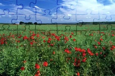 Landscape jigsaw puzzle