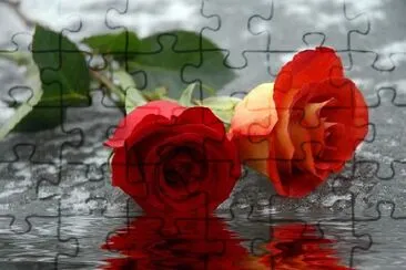 Two Roses jigsaw puzzle