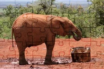 An Elephant jigsaw puzzle