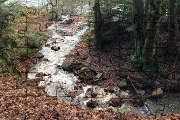 L'écoulement de l'eau