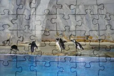 Penguins jigsaw puzzle