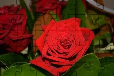 Red Rose jigsaw puzzle