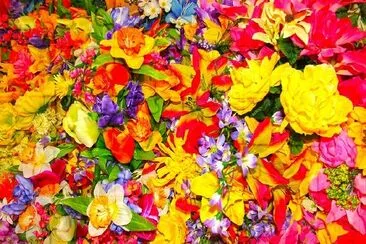 Flowers jigsaw puzzle